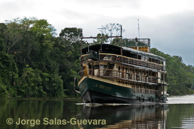 Amatista Amazon Voyage by Jorge Salas-Guevara