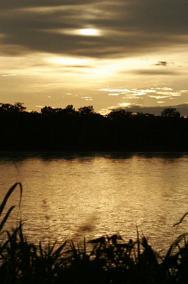 Sunset over the Amazon